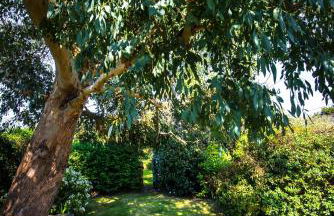 La Maison de la Mer - Vacation home in Normandy - Foto 48