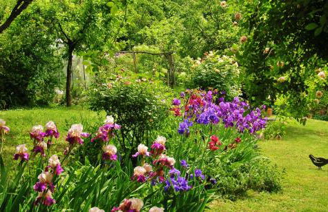 La Traversina - Agriturismo di Charme - Foto 71