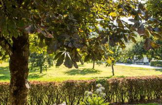 Appartementhaus Lechnerhof - Foto 21