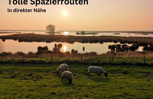 Ferienwohnung Wiesenzauber - Ruhige Lage am Stadtrand von Leer & Nähe Papenburg - Photo 26