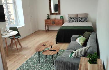 CMG Studio 202 XL Petit Bois Place Ducale - Foto 1