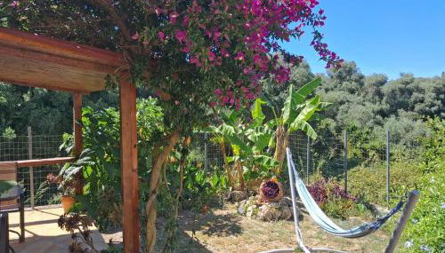 Aglaia House - Foto 3