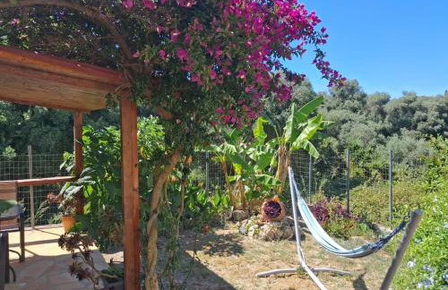 Aglaia House - Photo 3