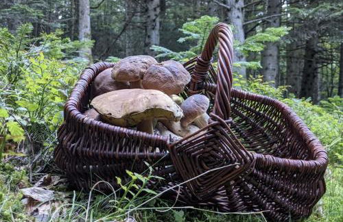 Chez Jeannette - Foto 20