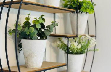 Bryn Gwyn Lodge - Photo 12