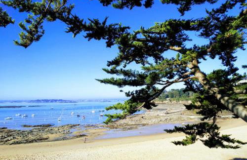 Gîte Bambou - Foto 14