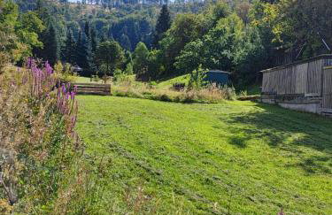 Ferienhaus Eden Frankenblick I Rennsteig I Thüringer Wald I Wandern I Naturnah I nahe Skipiste l Spielzimmer I Waschmaschine I kostenlos parken I WLAN I Spülmaschine I Familien-Ferienhaus I Waldwege und Wanderwege - Foto 7