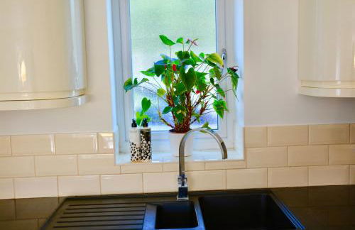 glastonbury town garden house - Photo 4