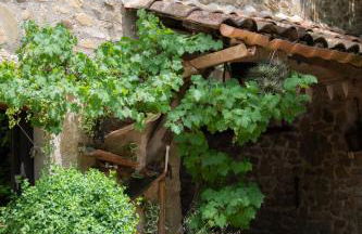 Mas Font- Nature Bike - Foto 57