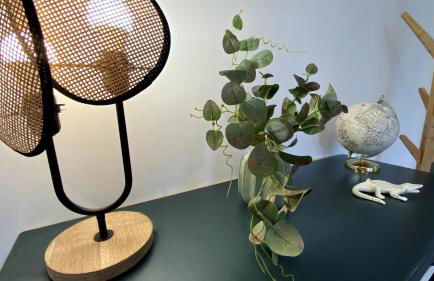 Breakislebed 3 Maisons CHU LIMOGES - Foto 15