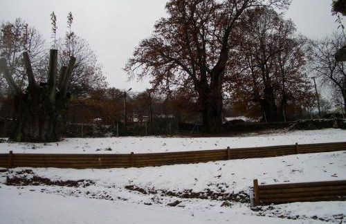 Quinta dos Castanheiros - Turismo Rural - Foto 74