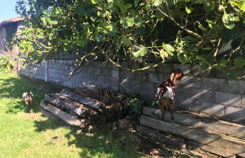 Ak-55 Rural House - Foto 21