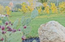 Casa vacanze Pantakyas - Foto 16