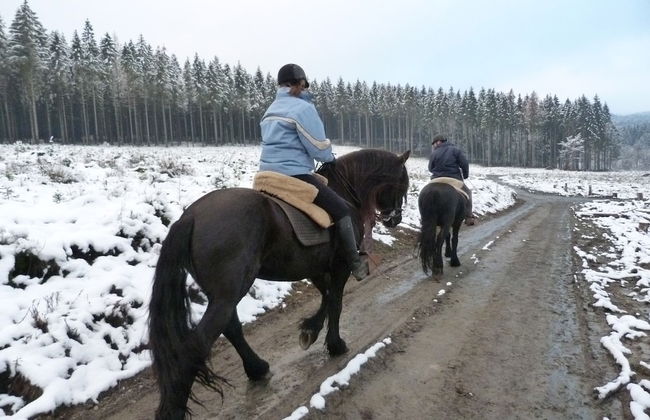 Cozy Chalet With Pond, Malmedy - Foto 49