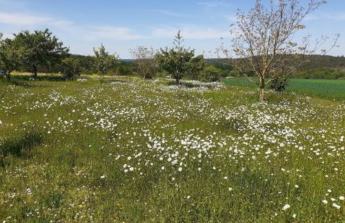 Ferienwohnung Achhammer - Foto 17