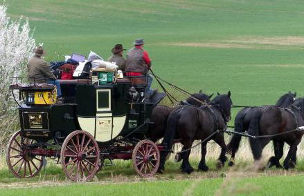 Kutschergasthof Am Sonnenstein - Photo 23