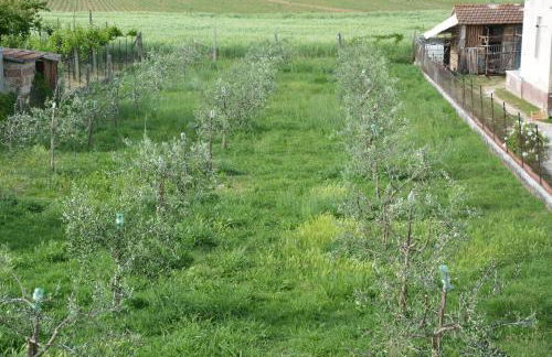 Nonna Alda - Foto 48