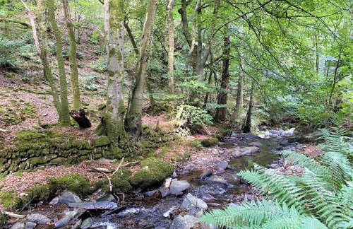 1 Bed in Barnstaple oc-89766 - Foto 15