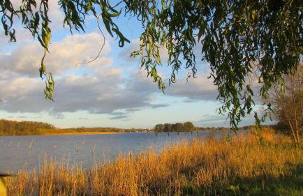 Ferienwohnung Müritzkoje an der Müritz - Foto 15