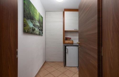 Apartaman Goga - Foto 15