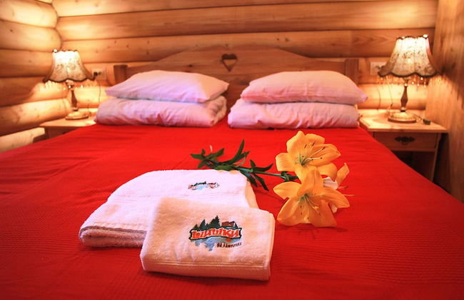 Shishki na Lampushke - Russkaya Derevnya - Foto 15