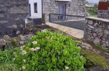 Casa do António Júlio - Photo 14