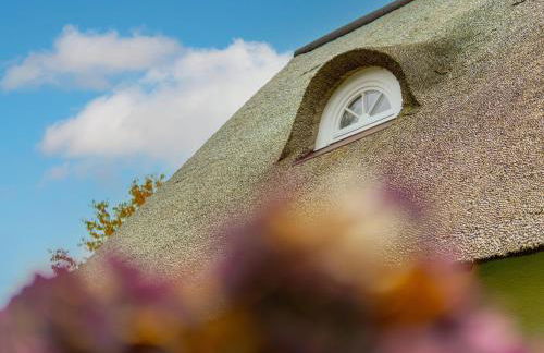 Ferienhaus Deich Huus - Foto 8