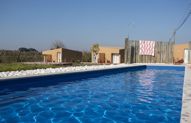 Entre Vinhas & Mar - Foto 38