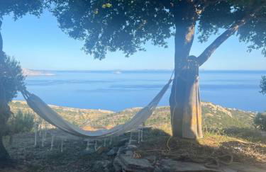 Ikarian traditional house - Foto 31