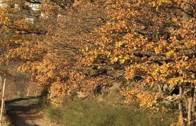 Vinum Comfortable Holiday Residence - Photo 18