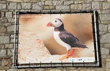 Vacances plages, mer, balades ou GR34 ! - Foto 66