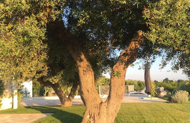 Trulli Lamascrasciola - Foto 67