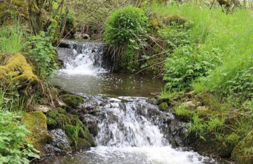 Eifelhaus LandLuft mit Infrarotkabine - Foto 13