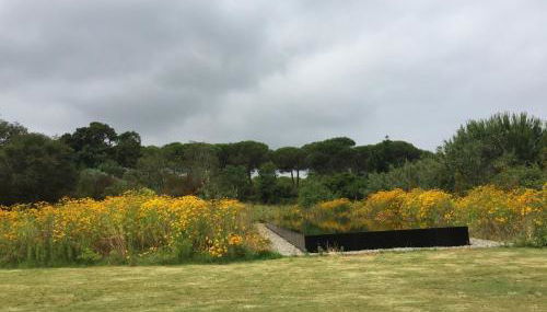 Quinta Do Miguel - Foto 4