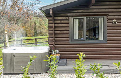 Chestnut, 6 Fingle Glen Lodges - Hot Tub - Free Parking & WiFi - Pets - Foto 27