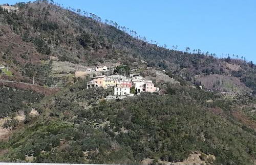 Casa Burrasca - Foto 14