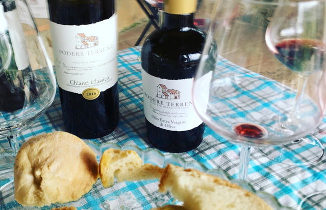 Podere Terreno alla Via della Volpaia - Foto 41