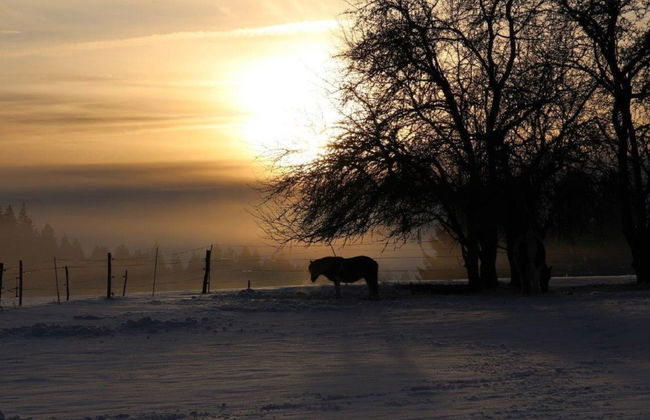 Maison de vacances - Les Hirondelles - Foto 11