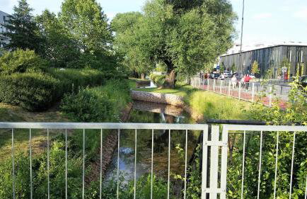 Wilanow Apartment - Foto 30