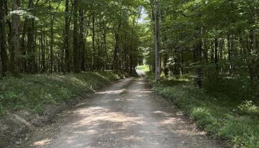 Le Chene du Verger Nature forest - Foto 2