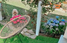 Villa SouAri 10' da Forte de Marmi - 2km spiaggia - Foto 15