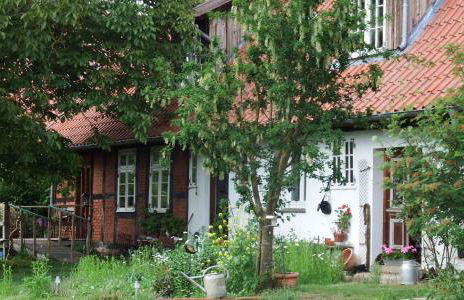 Ferienhof Rauchhaus - Foto 24