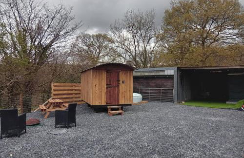 Chandler Ranch Llandovery Cynghordy - Foto 34