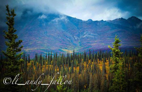 Northern Lights Log House w/ Sauna - Foto 43