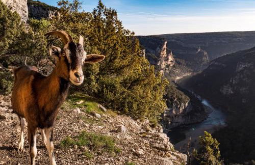 Gite le Chamaju - Photo 20