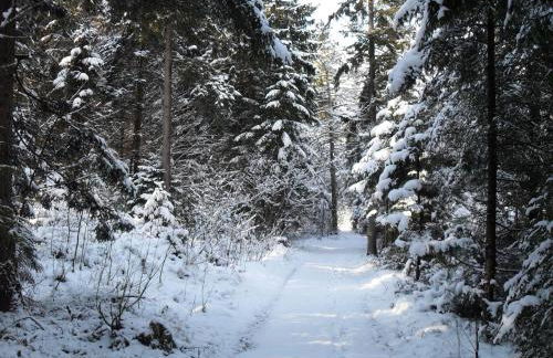 Ferienhaus Gestüt Pfaffenlehen - Foto 43