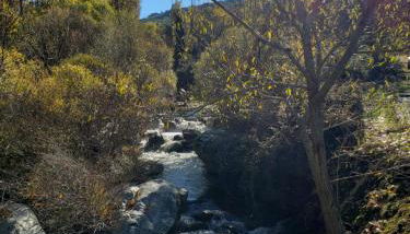 Las Tejeruelas Casa Rural - Foto 3