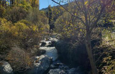 Las Tejeruelas Casa Rural - Foto 3