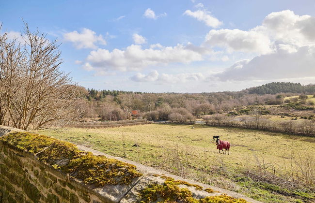 Host Stay Drovers Rest - Foto 19