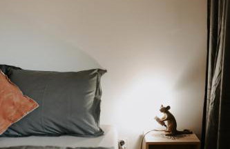 Górska 72 Dom pod Stokiem - Foto 58